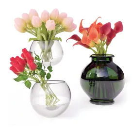 Decoration plant